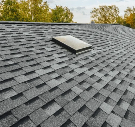 Skylight Repair Englewood NJ